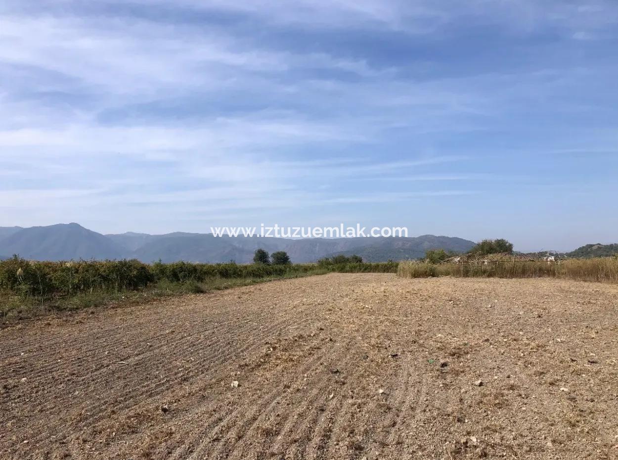 Land For Sale In Esköy 8500M2 Field Land For Sale