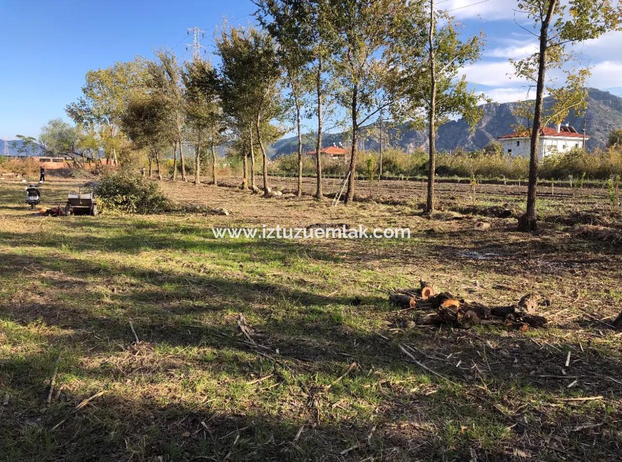 Land For Sale In Dalyan 2540M2