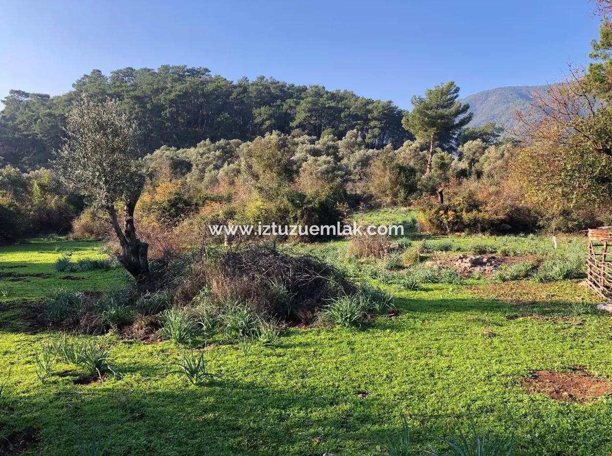 Ekincik Land For Sale 10,038M2 Land For Sale Field