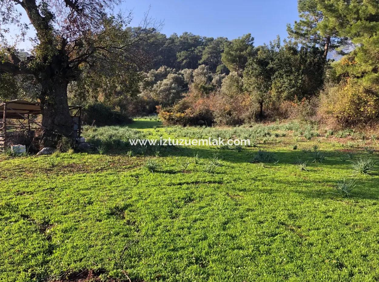 Ekincik Land For Sale 10,038M2 Land For Sale Field