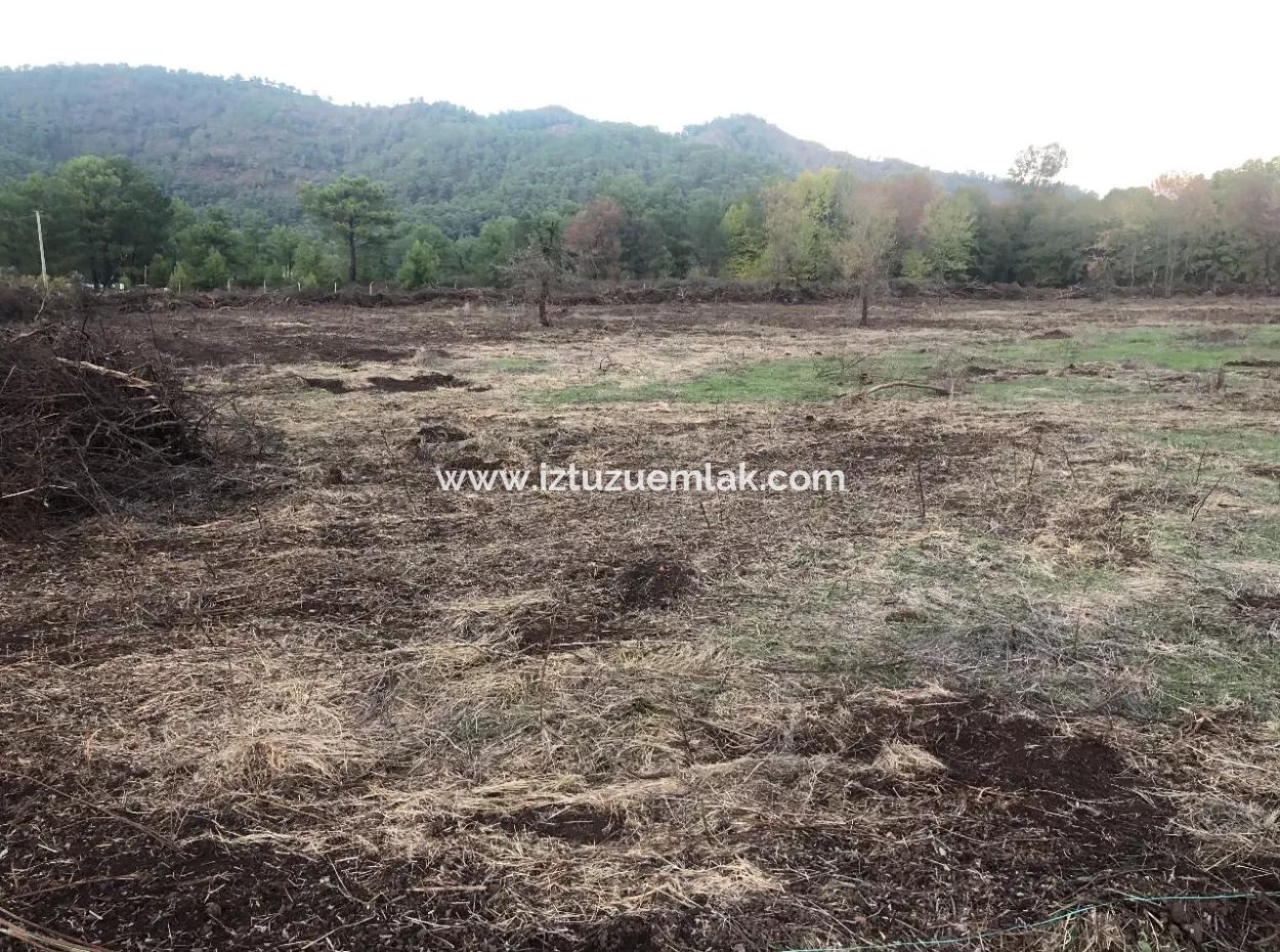 Sultaniye Land For Sale Near 10577M2 Lake Land For Sale