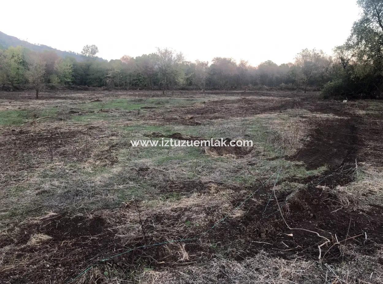 Sultaniye Land For Sale Near 10577M2 Lake Land For Sale