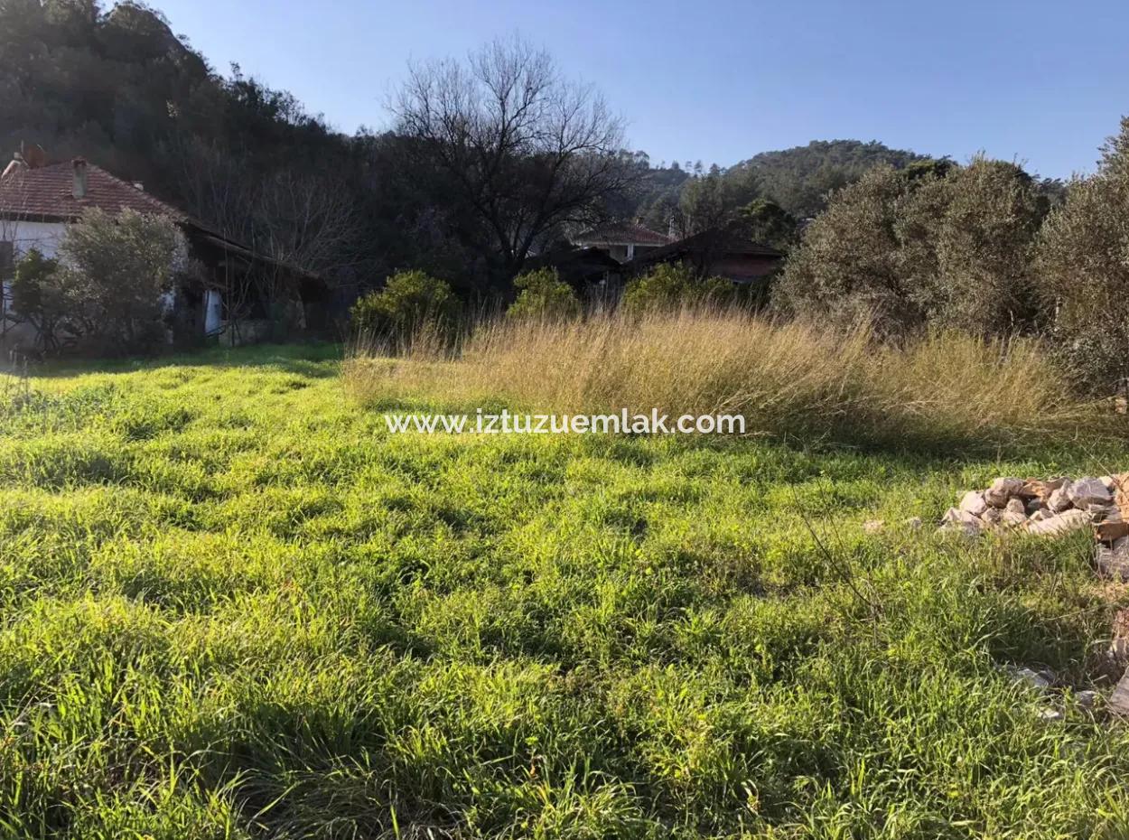 777M2 Land For Sale In Ula Sarayyanı
