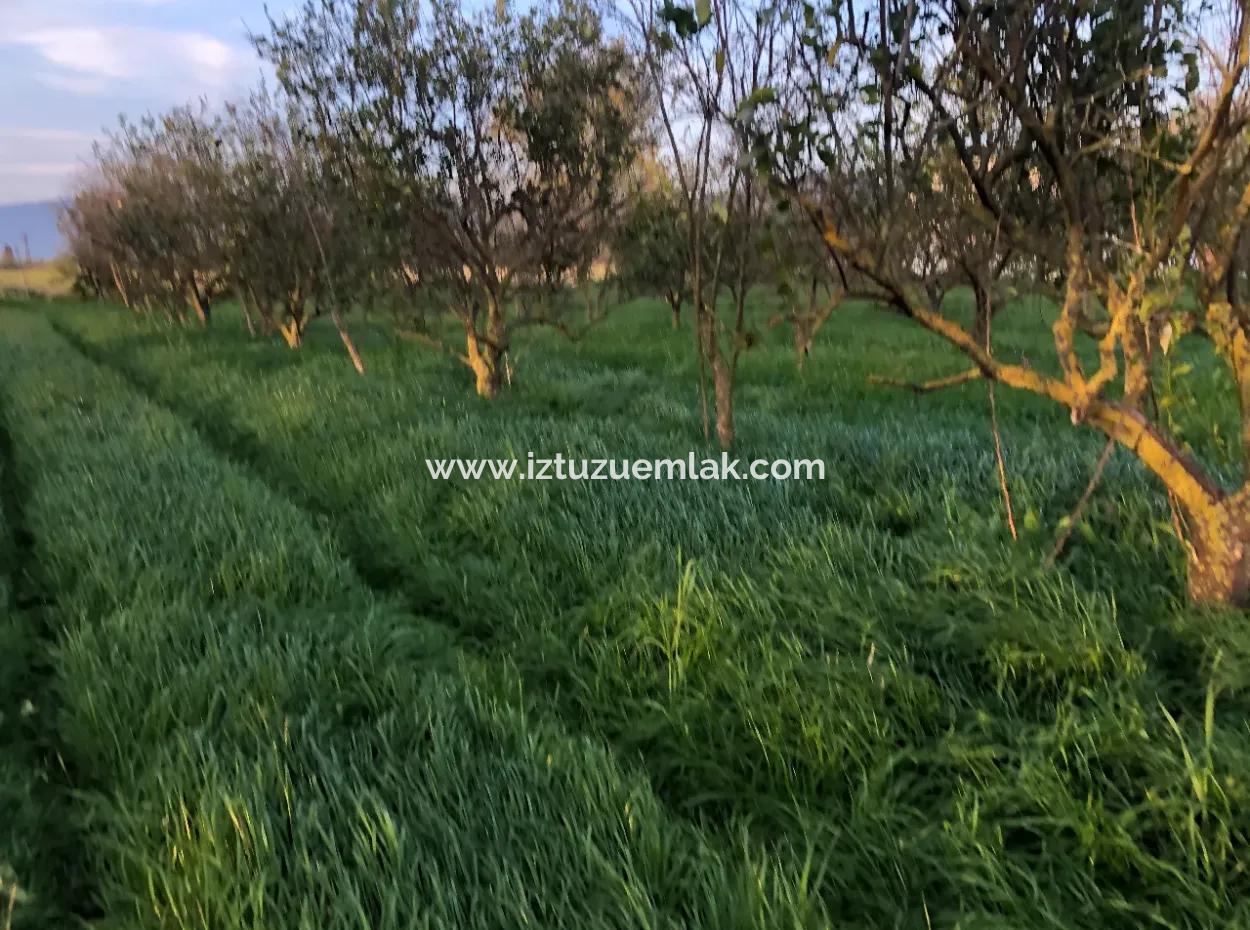 In Okçular Land For Sale 4707M2 Land For Sale