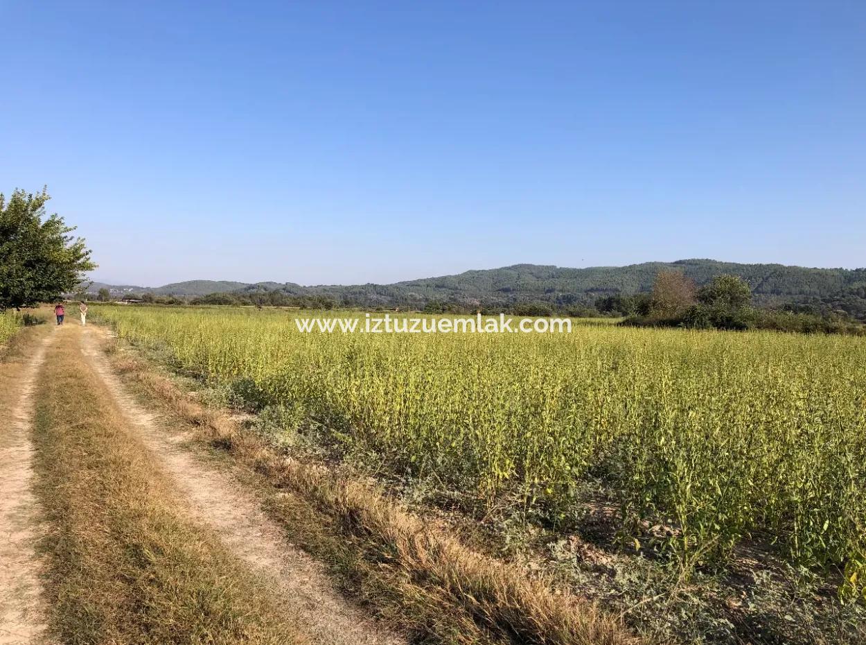 For Sale In Akçapinar 100 Acres For Sale