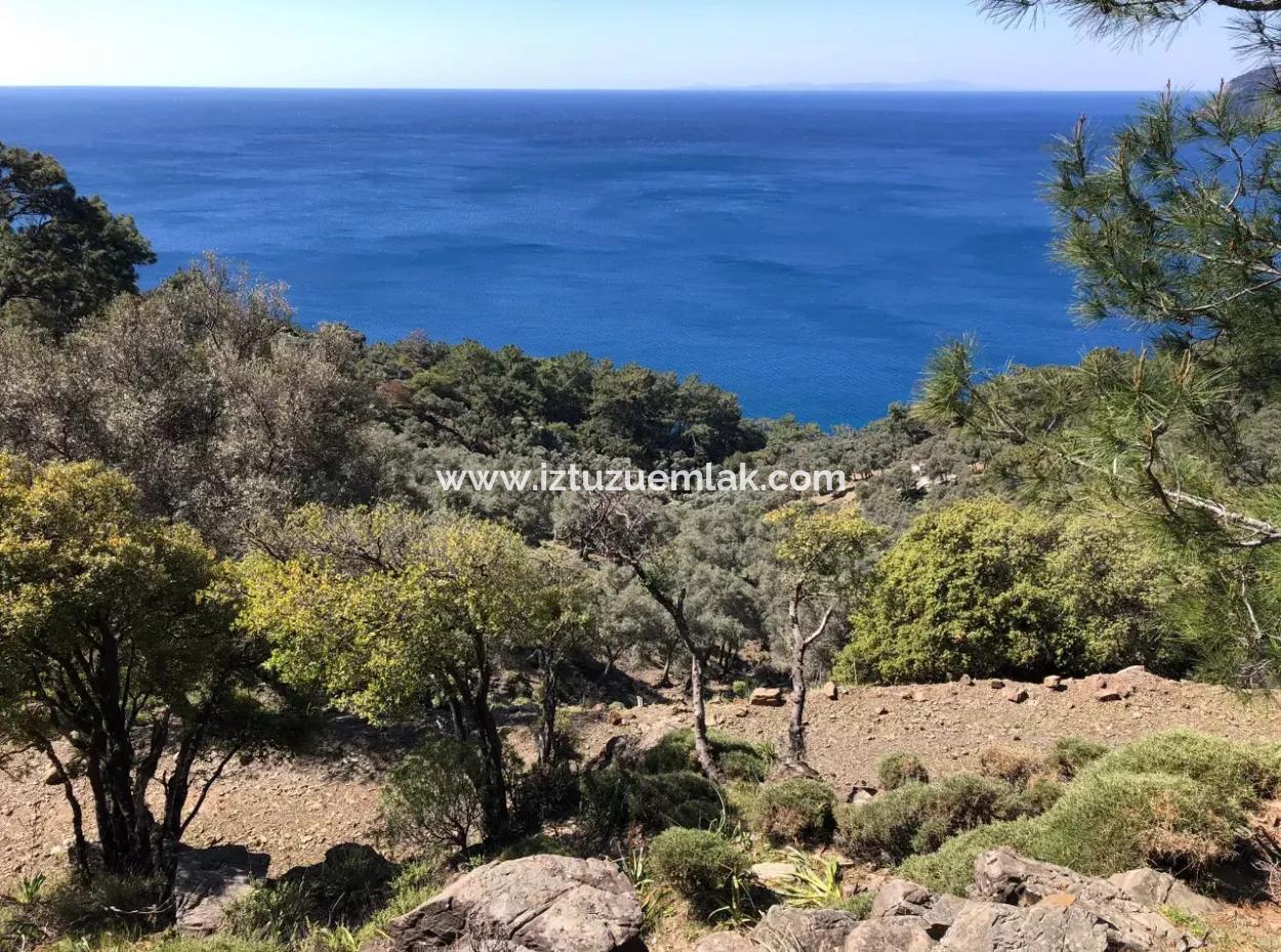 Land For Sale With Sea View In Çandir