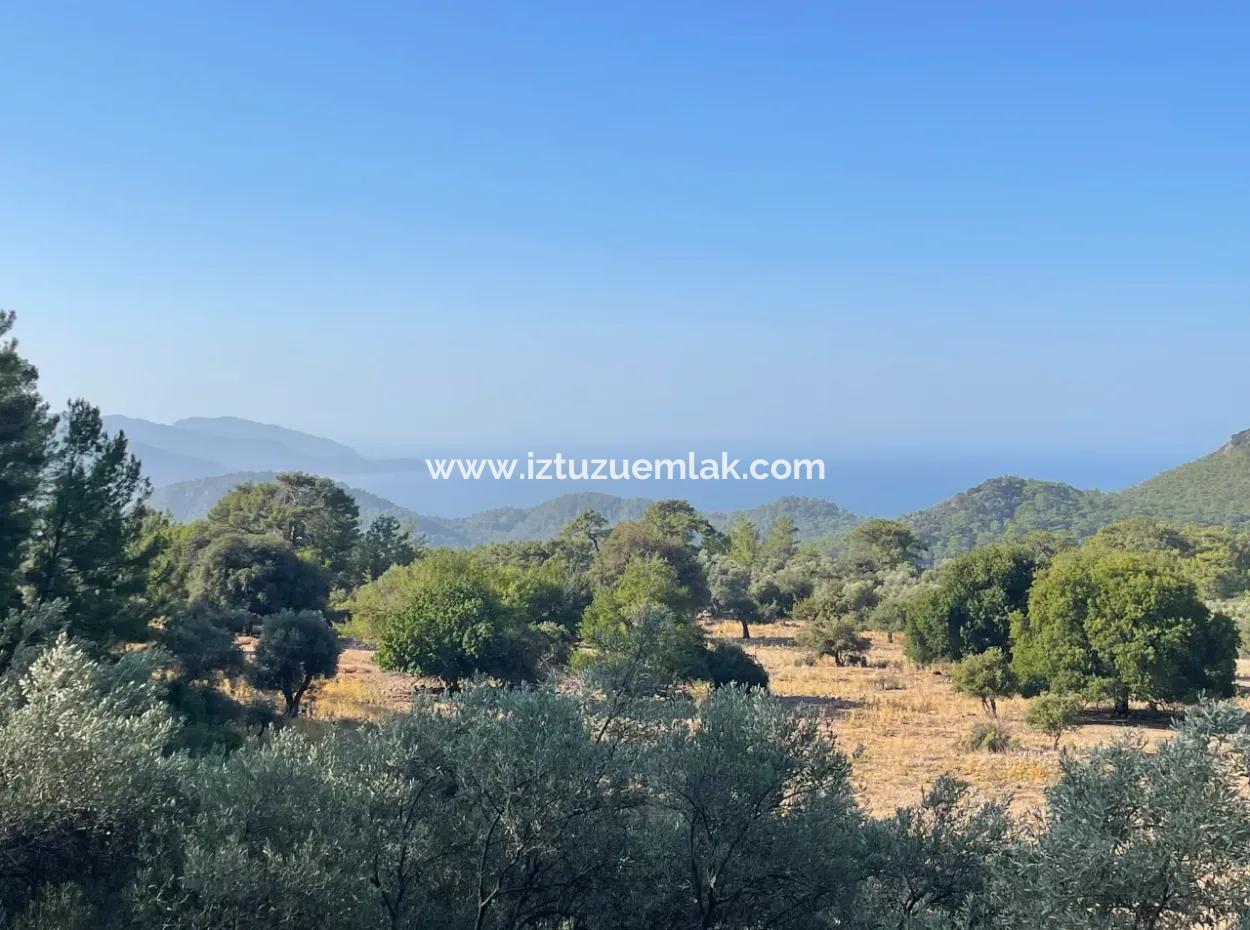 2620M2 Land Field For Sale With Sea View Of Çandir