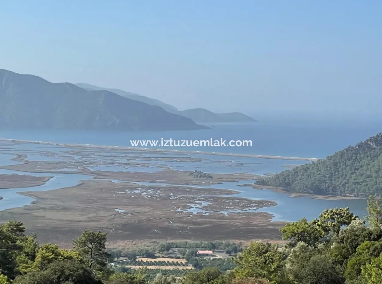 2620M2 Land Field For Sale With Sea View Of Çandir