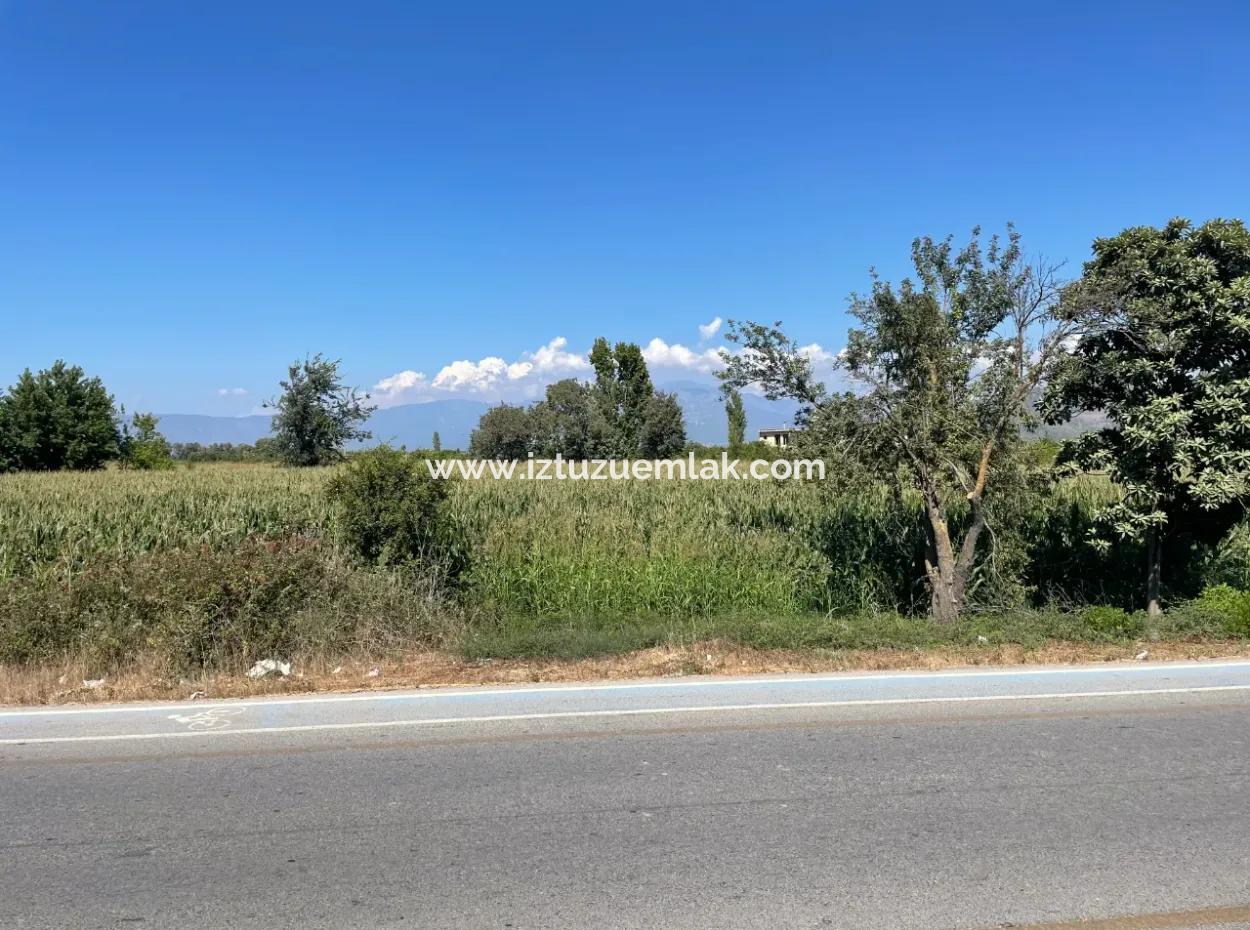 Dalyan Main Road Zero Land For Sale 8115M2 Commercial Land For Sale