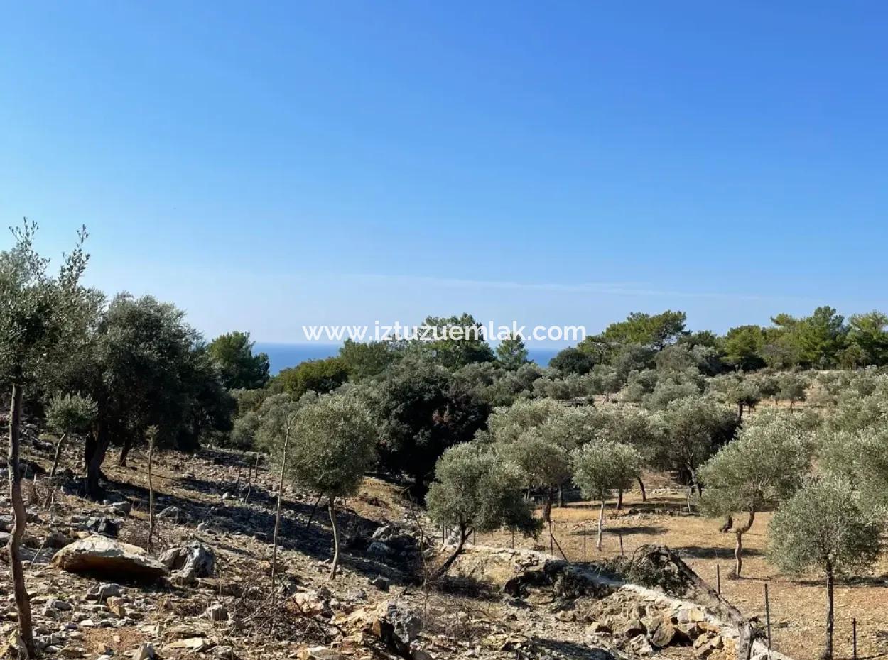 Land For Sale With Sea View Of Çandir