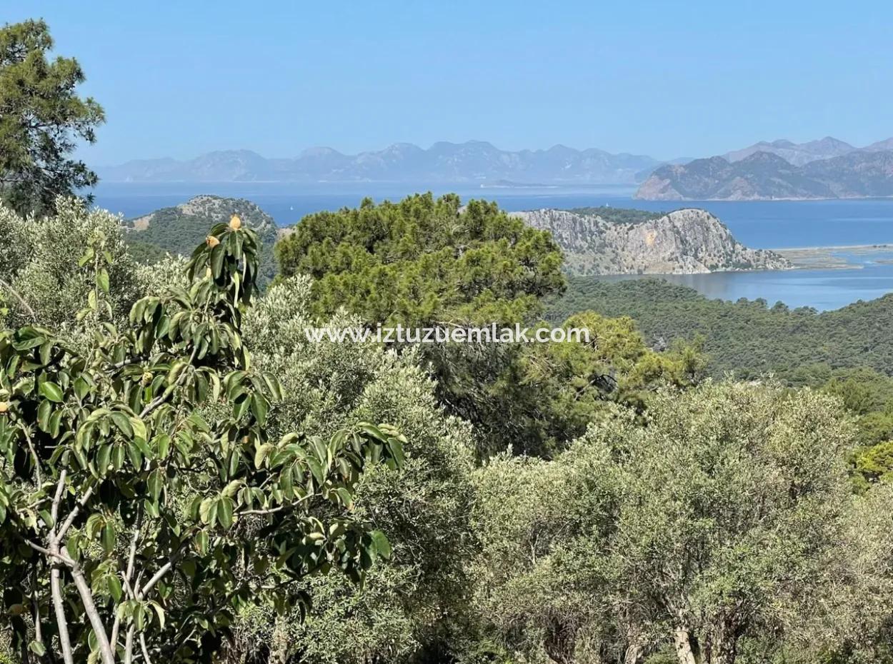 Land For Sale With Sea View In Gokbel