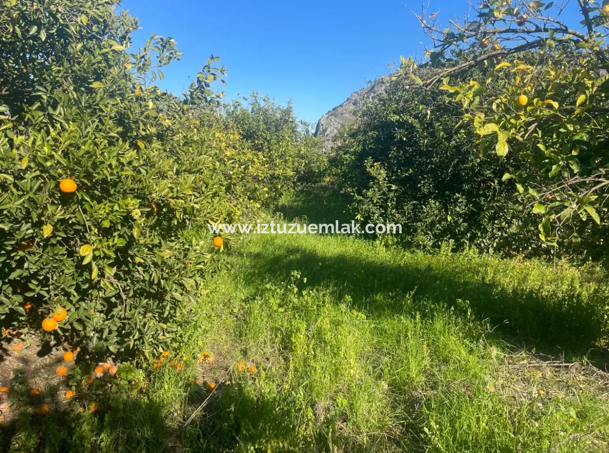 Dalyan Land For Sale 5227M2 Land For Sale