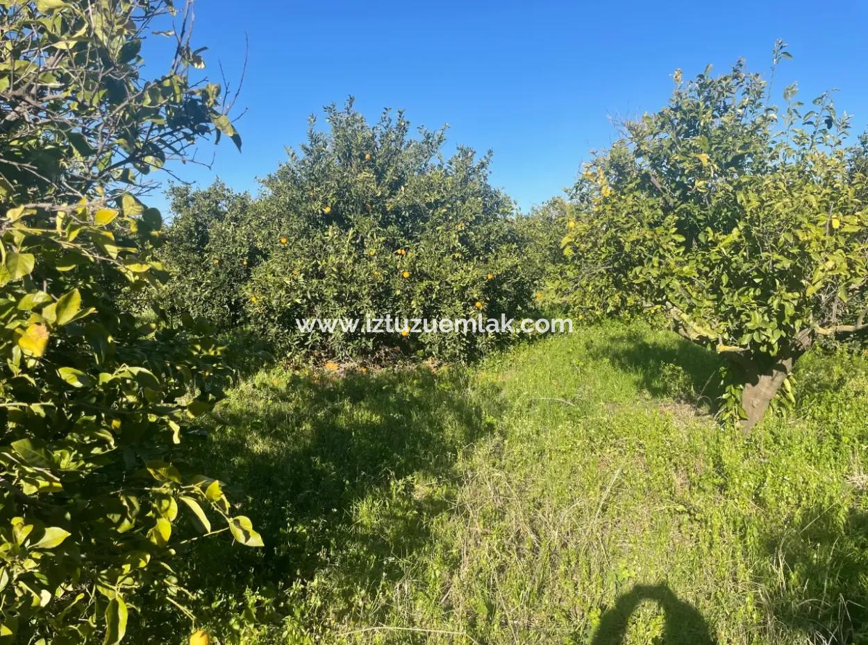 Dalyan Land For Sale 5227M2 Land For Sale