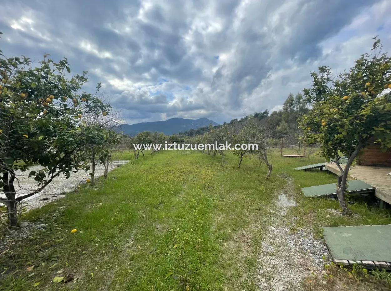 Dalyan Boutique Hotel For Sale Bungolevler For Sale In 11.000M2 Plot