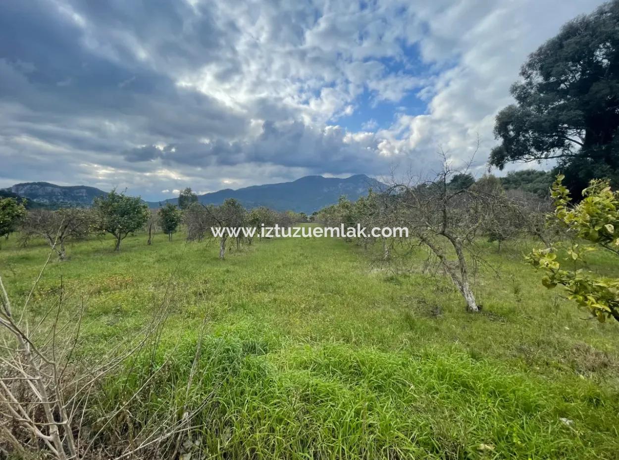 Dalyan Boutique Hotel For Sale Bungolevler For Sale In 11.000M2 Plot