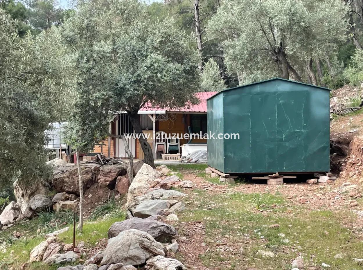 Olive House With Sea View In Ekincik Is For Sale