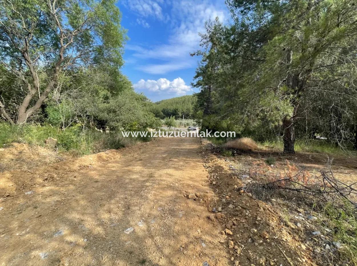 Land For Sale In Ula Armutchuk With 501M2 Zoning