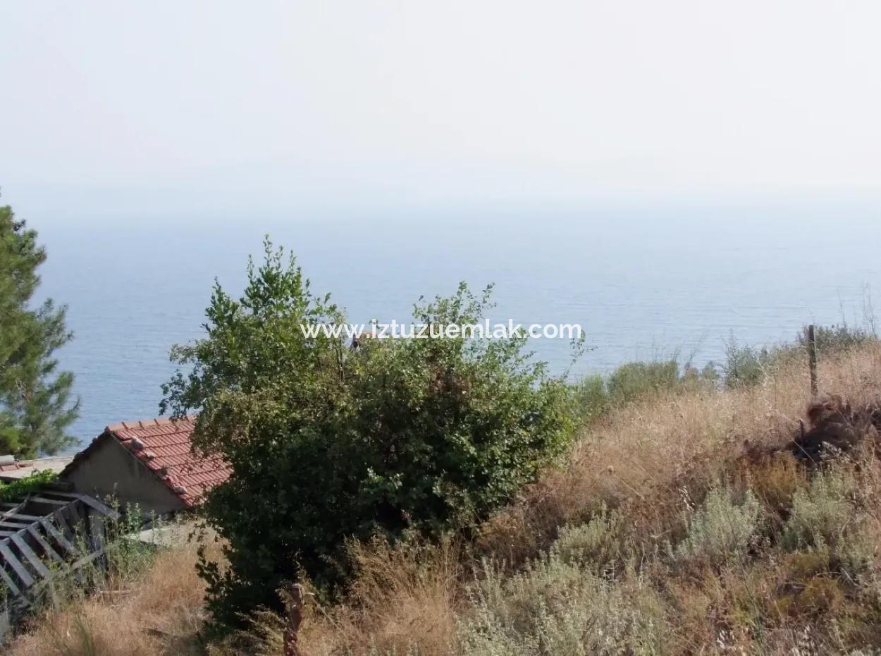 5000M2 Plot Of Land For Sale In Akyaka With Full Sea View House For Sale Kentucky