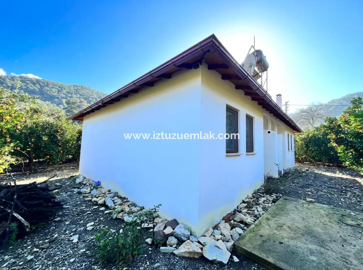 One-Storey House For Sale In 5000M2 Land In Çandır