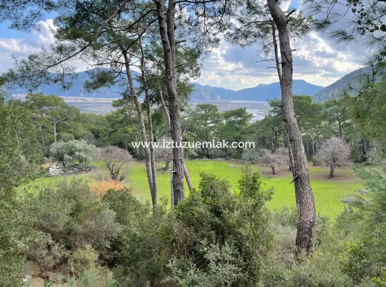 10,707M2 2B Field For Sale With Sea Lake View In Çandır