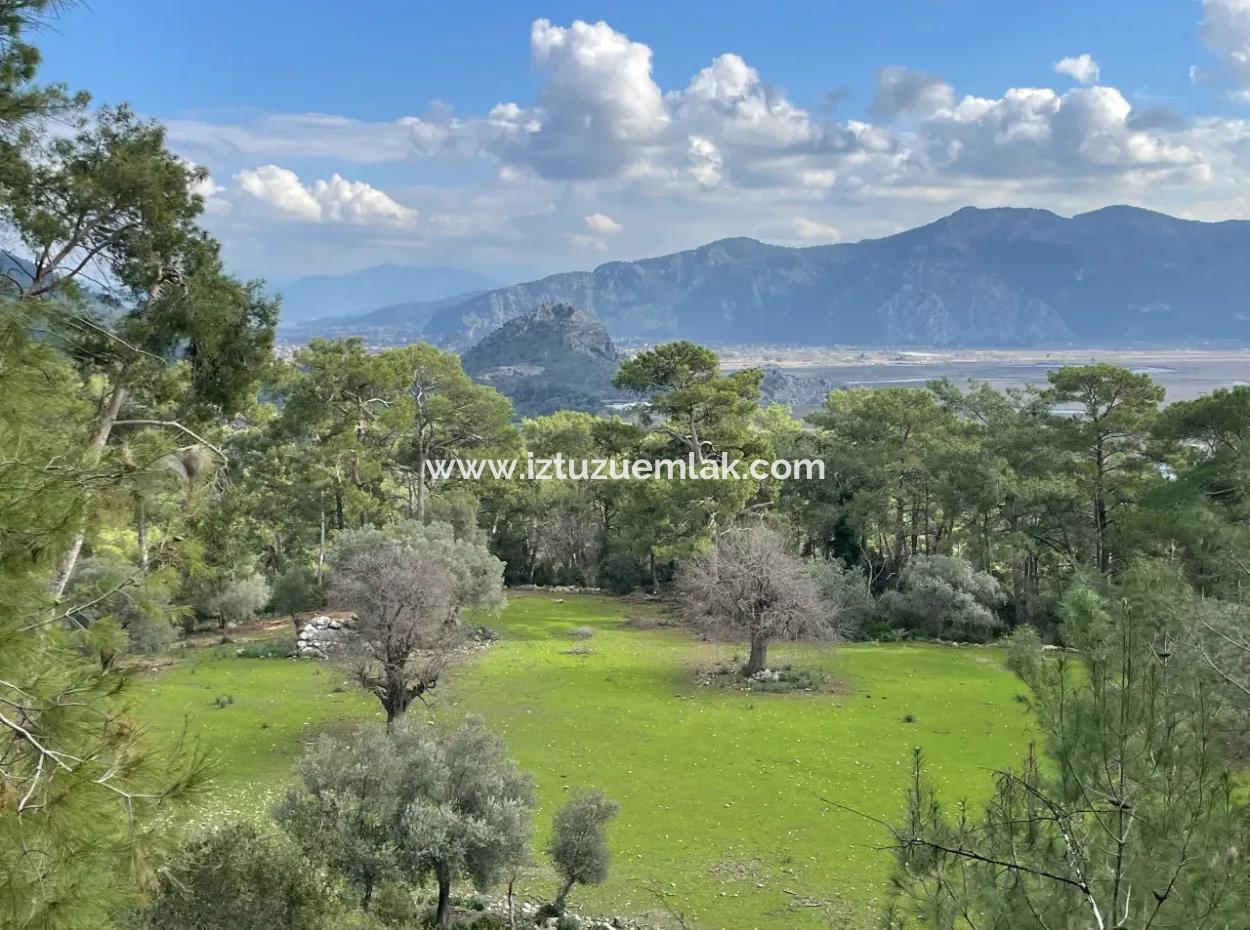 10,707M2 2B Field For Sale With Sea Lake View In Çandır