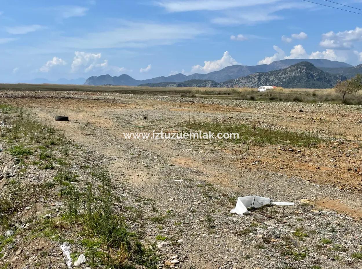 Dalyan Iztuzu Beach Road Zero 19,600M2 Field Land For Sale
