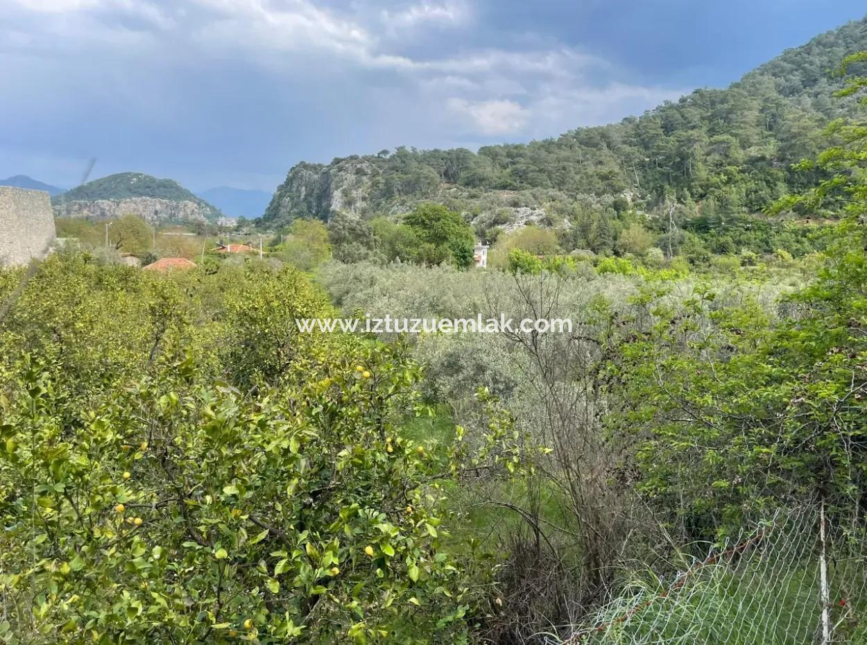 5000M2 Field For Sale At The Beginning Of The Road In Çandır