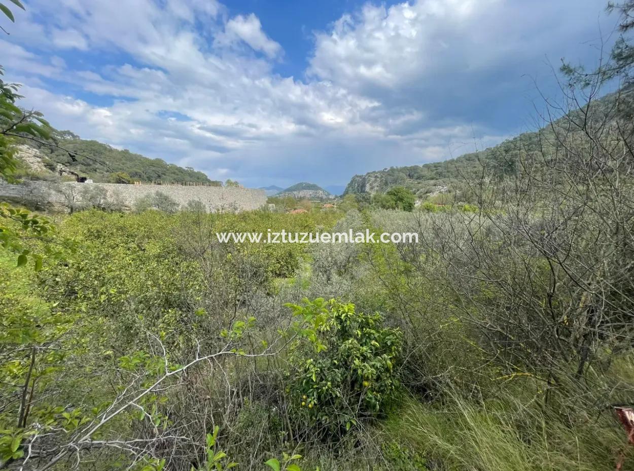 5000M2 Field For Sale At The Beginning Of The Road In Çandır