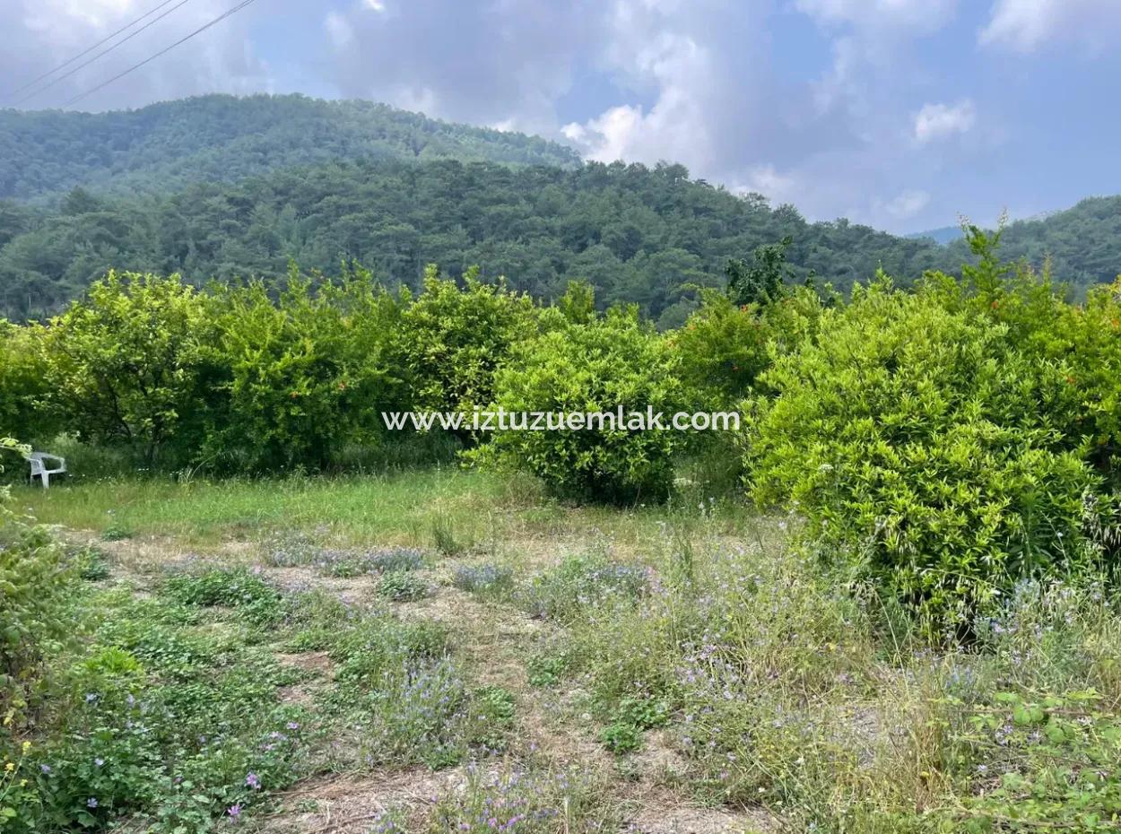 7800M2 Land For Sale At The Beginning Of Iztuzu Beach Road In Gökbel