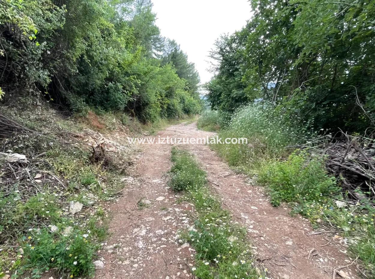 2,528M2 Field For Sale Near The Center Of Dalyan