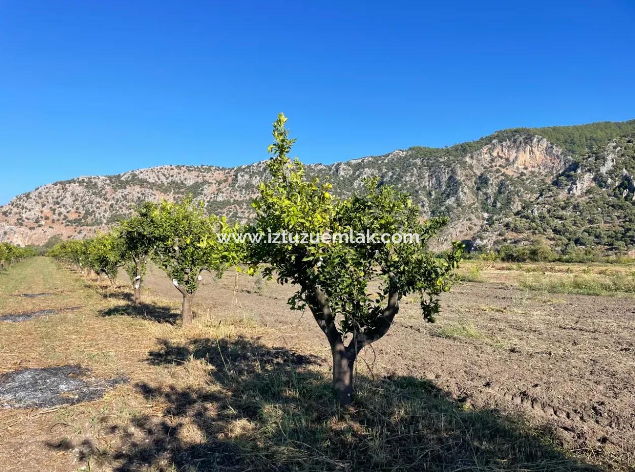 Land For Sale In Dalyan Close To The Center Of 6600M2