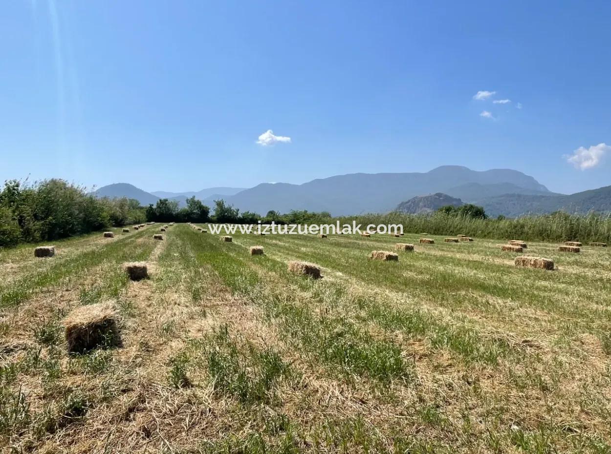 6,500M2 Field For Sale On The Iztuzu Road In Dalyan