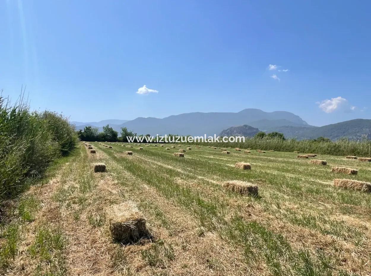 6,500M2 Field For Sale On The Iztuzu Road In Dalyan