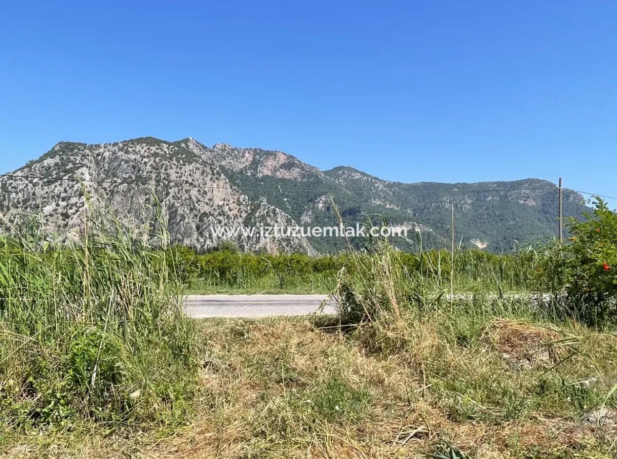 6,500M2 Field For Sale On The Iztuzu Road In Dalyan