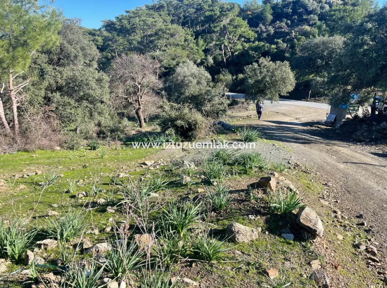 2B Land For Sale With Sea View In Çandır