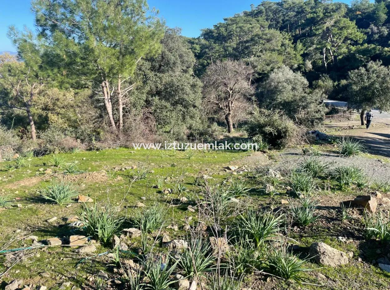 2B Land For Sale With Sea View In Çandır