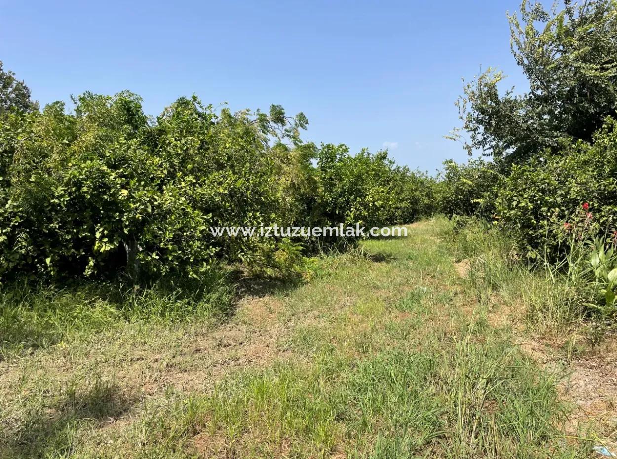 10.000M2 Land For Sale In The Village Built-Up Area In Okçular