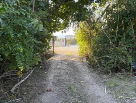 6150M2 Lemon And Pomegranate Garden Is For Sale In Eskiköy