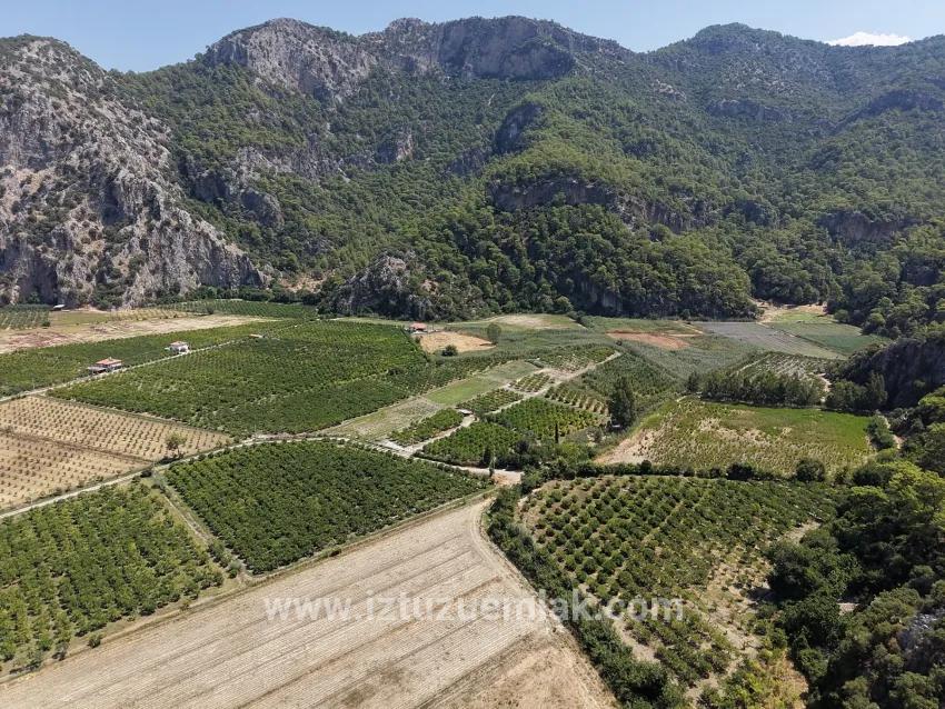 Для продажи Поле в Dalyan Ortaca - Под Поле застройку - 20.786 m²
