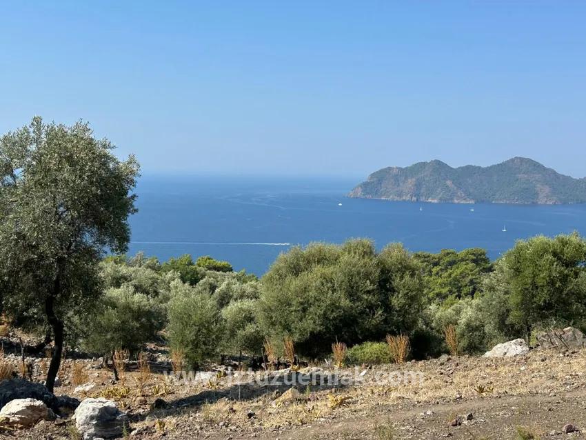 Для Продажи Поле в Çandır Köyceğiz - Под Поле застройку - 21.000 m²