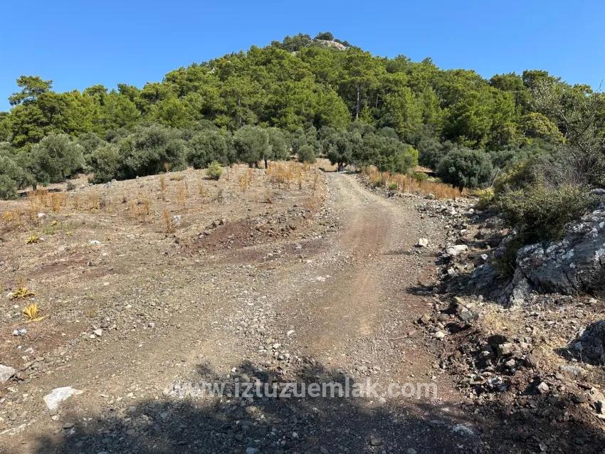 Для Продажи Поле в Çandır Köyceğiz - Под Поле застройку - 21.000 m²