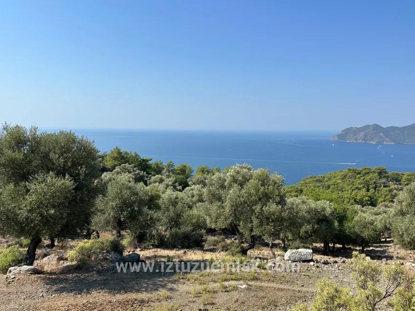 Для Продажи Поле в Çandır Köyceğiz - Под Поле застройку - 21.000 m²