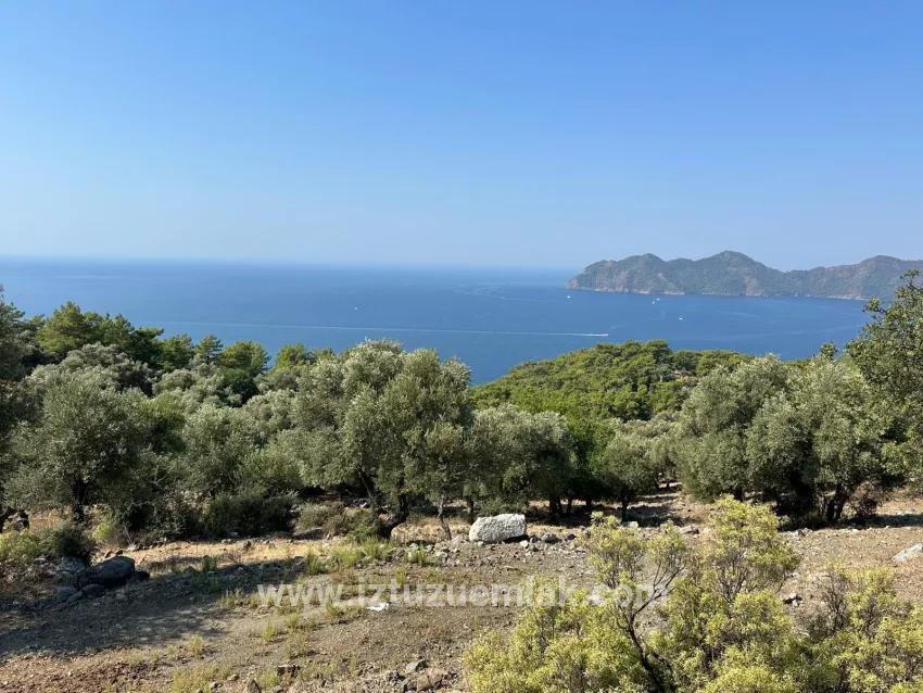 Для Продажи Поле в Çandır Köyceğiz - Под Поле застройку - 21.000 m²