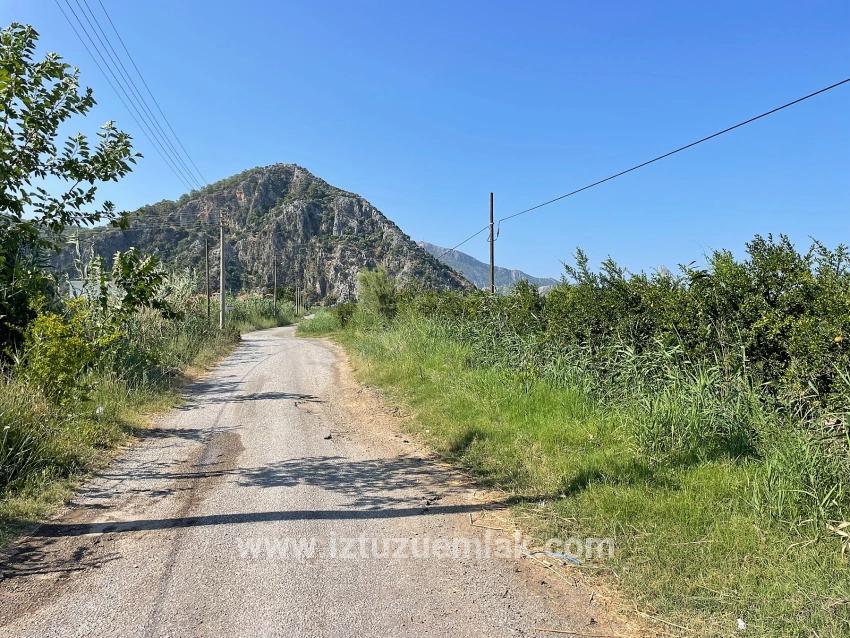 Гранатовый Сад Площадью 10 000 М² На Продажу В Районе Арикбаши Герендюзю В Дальяне.