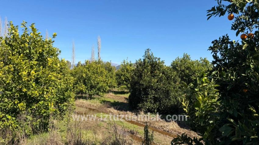 Продается Земельный Участок Площадью 2 218 М² В Окчуларе, Мармарис.