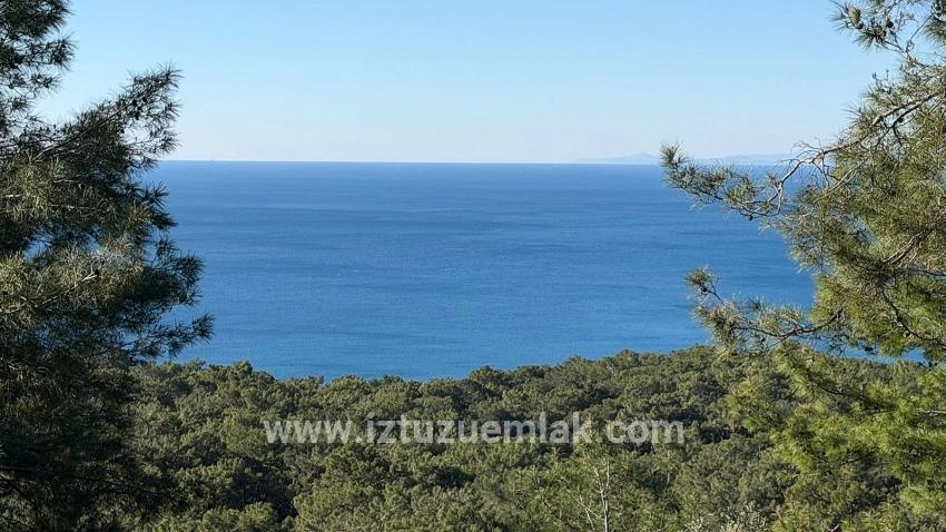 Поле 2b Площадью 5715 М2 С Панорамным Видом На Море В Чандыре