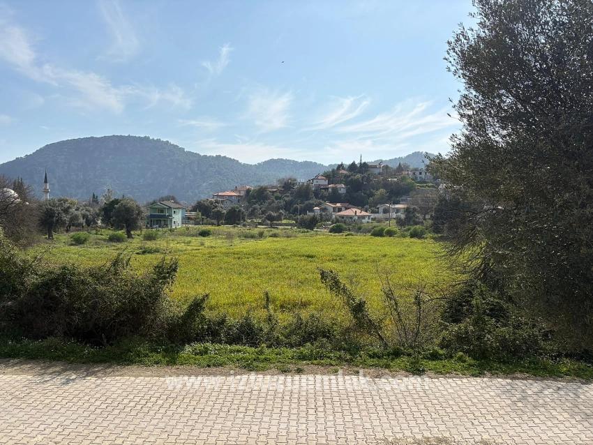 Продается Земельный Участок Площадью 2023 М² В Деревне Чандыр, Кёйджегиз, С Долевой Собственностью И Добровольным Разделом.