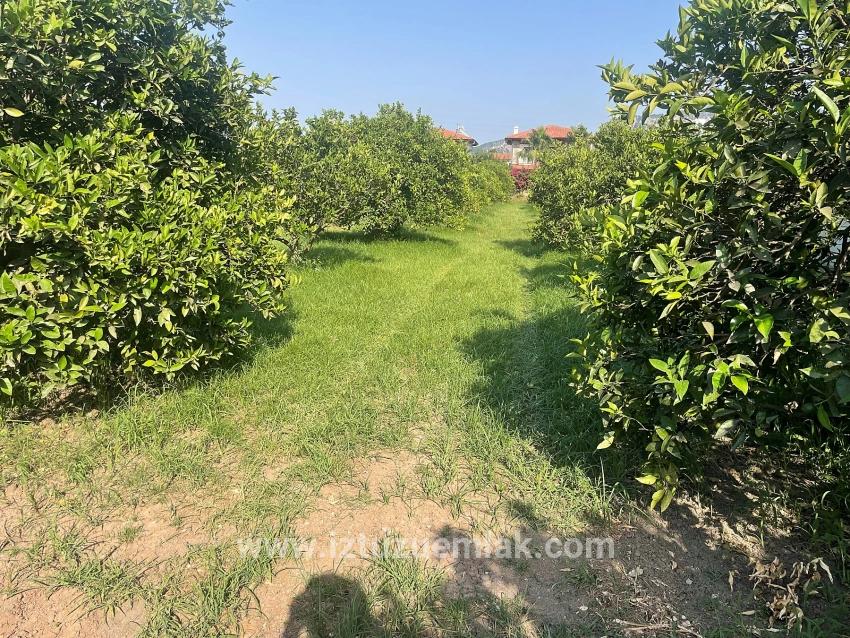 Для продажи Сюжет в Dalyan Ortaca - Под Жилье застройку - 722 m²