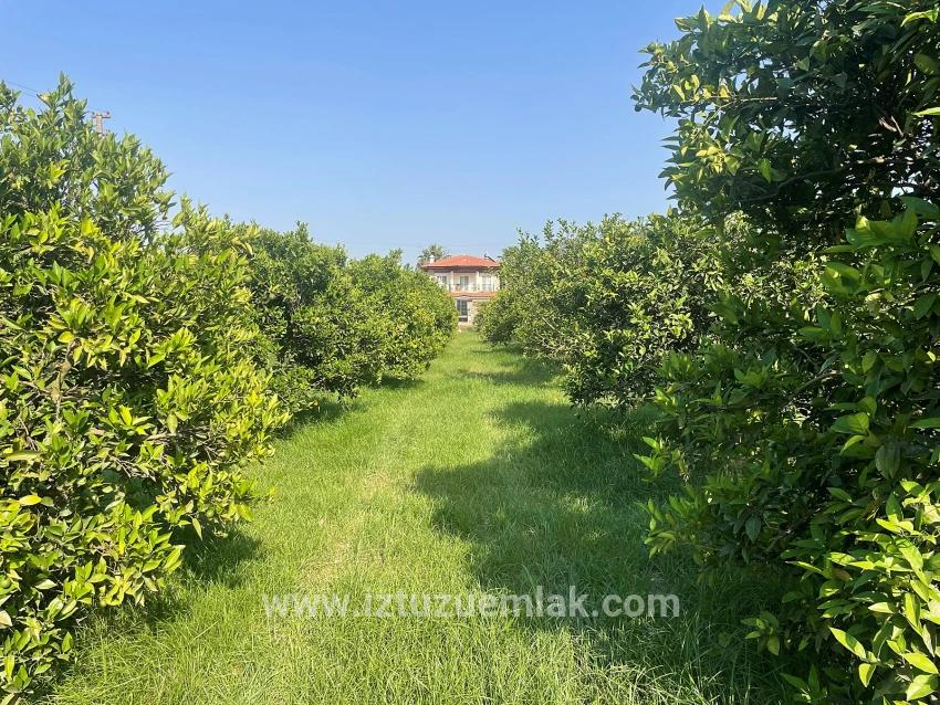 Земля 722м2 На Продажу В Дальян Гюльпынар
