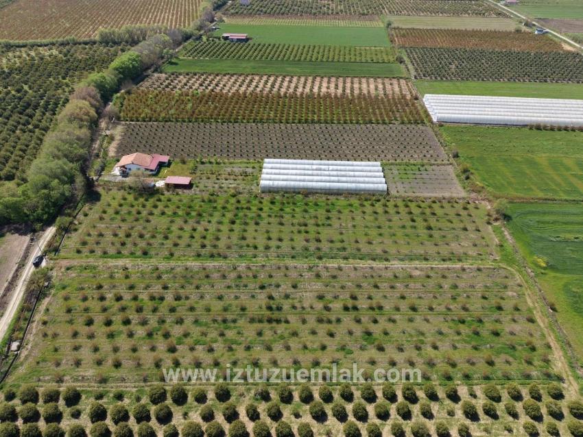 Для продажи Поле в Eskiköy Ortaca - Под Поле застройку - 16.000 m²
